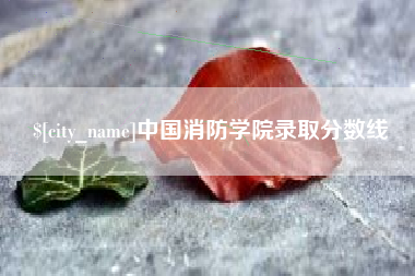 南平中国消防学院录取分数线