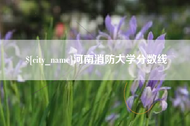 南平河南消防大学分数线