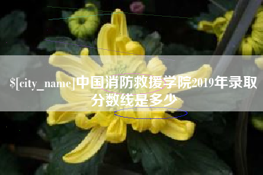 南平中国消防救援学院2019年录取分数线是多少