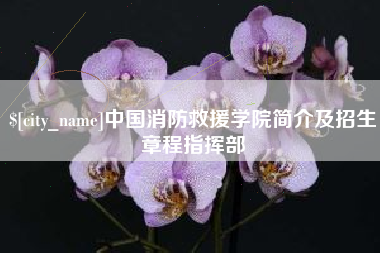 南平中国消防救援学院简介及招生章程指挥部
