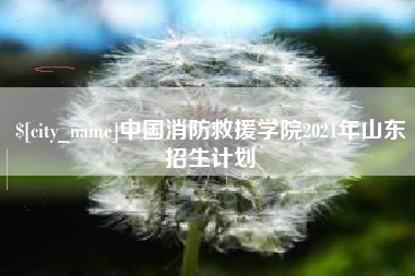 南平中国消防救援学院2021年山东招生计划