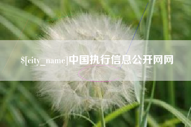 南平中国执行信息公开网网