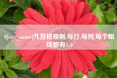 南平九宫格规则,每行,每列,每个粗线都有1-9