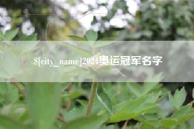 南平2024奥运冠军名字