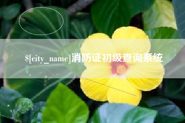 南平消防证初级查询系统