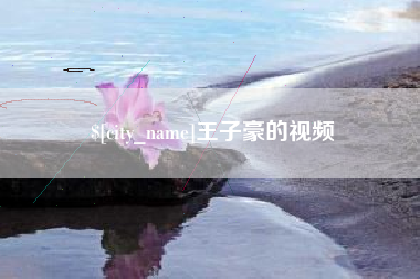 南平王子豪的视频