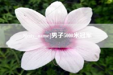 南平男子5000米冠军