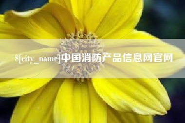 南平中国消防产品信息网官网