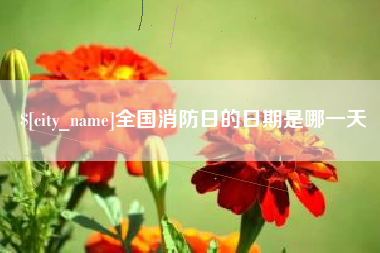 南平全国消防日的日期是哪一天