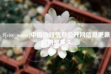 南平中国执行信息公开网信息更新时间是多久