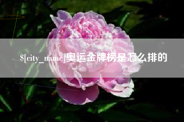南平奥运金牌榜是怎么排的