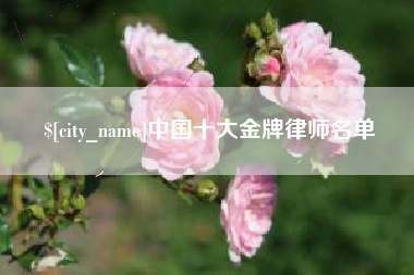 南平中国十大金牌律师名单