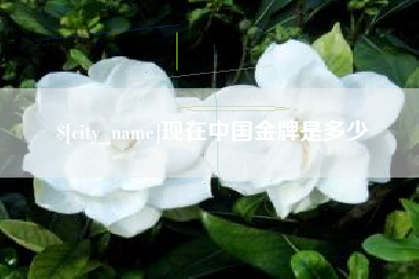 南平现在中国金牌是多少