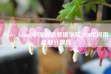 南平中国消防救援学院2020年河南录取分数线