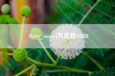 南平九宫格42633