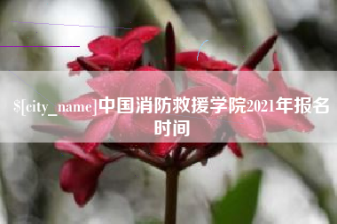 南平中国消防救援学院2021年报名时间