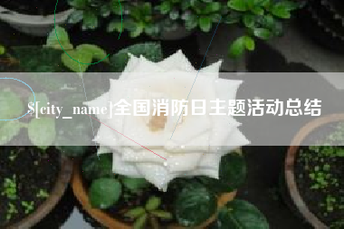 南平全国消防日主题活动总结