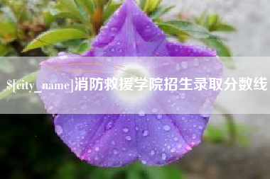 南平消防救援学院招生录取分数线