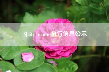 南平执行信息公示