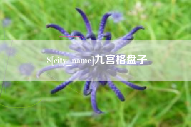 南平九宫格盘子