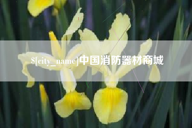 南平中国消防器材商城