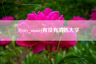 南平有没有消防大学