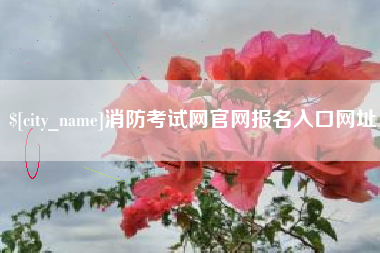 南平消防考试网官网报名入口网址