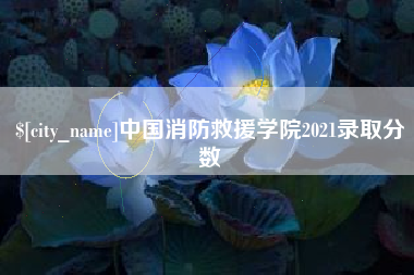 南平中国消防救援学院2021录取分数