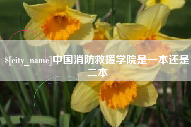 南平中国消防救援学院是一本还是二本