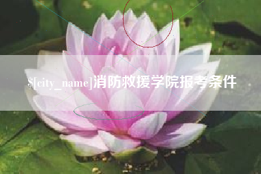 南平消防救援学院报考条件