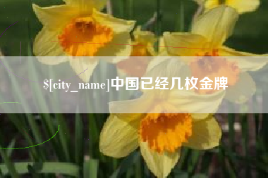 南平中国已经几枚金牌