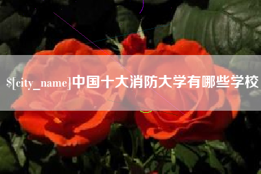 南平中国十大消防大学有哪些学校