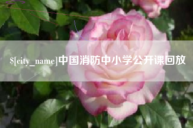 南平中国消防中小学公开课回放