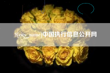 南平中国执行信息公开网