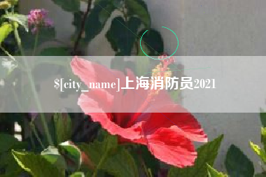 南平上海消防员2021