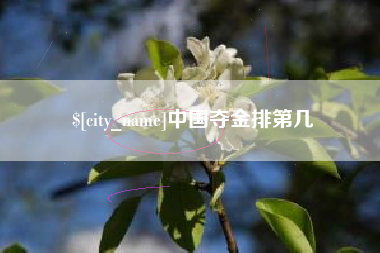 南平中国夺金排第几