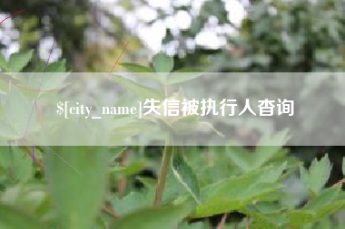 南平失信被执行人杳询