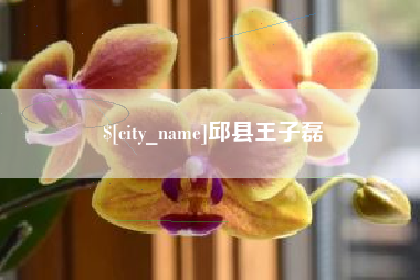 南平邱县王子磊