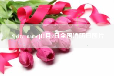 南平11月9日全国消防日图片