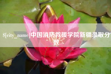 南平中国消防救援学院新疆录取分数