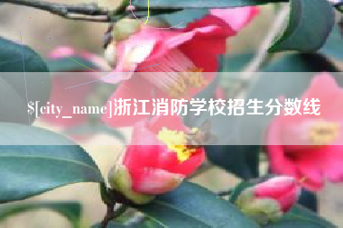 南平浙江消防学校招生分数线