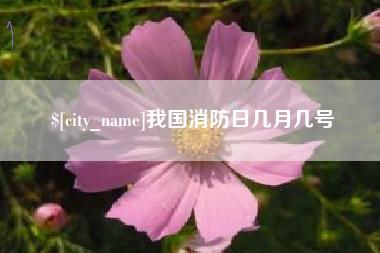 南平我国消防日几月几号