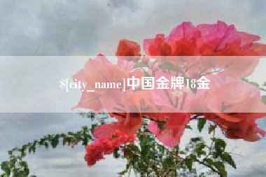 南平中国金牌18金