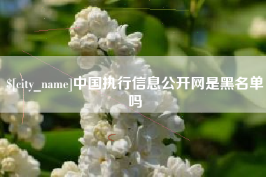南平中国执行信息公开网是黑名单吗