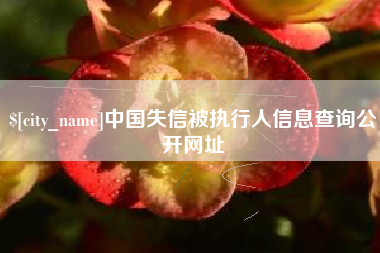 南平中国失信被执行人信息查询公开网址
