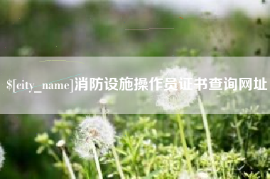 南平消防设施操作员证书查询网址