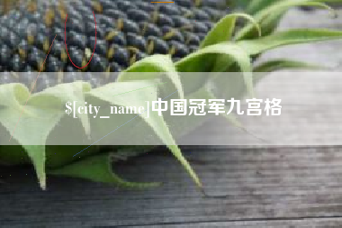 南平中国冠军九宫格