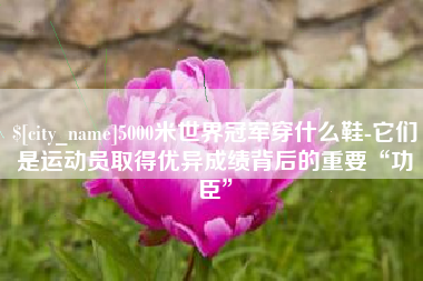 南平5000米世界冠军穿什么鞋-它们是运动员取得优异成绩背后的重要“功臣”