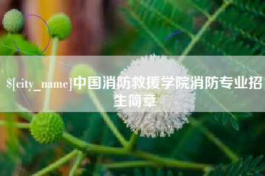 南平中国消防救援学院消防专业招生简章