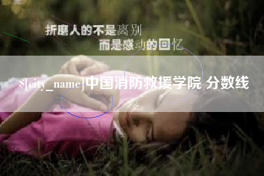 南平中国消防救援学院 分数线